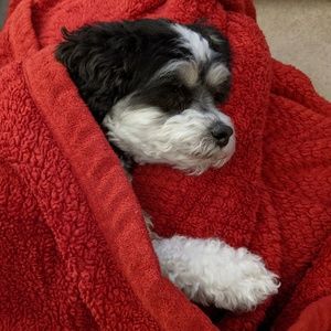 Meet your Posher, Caitlin